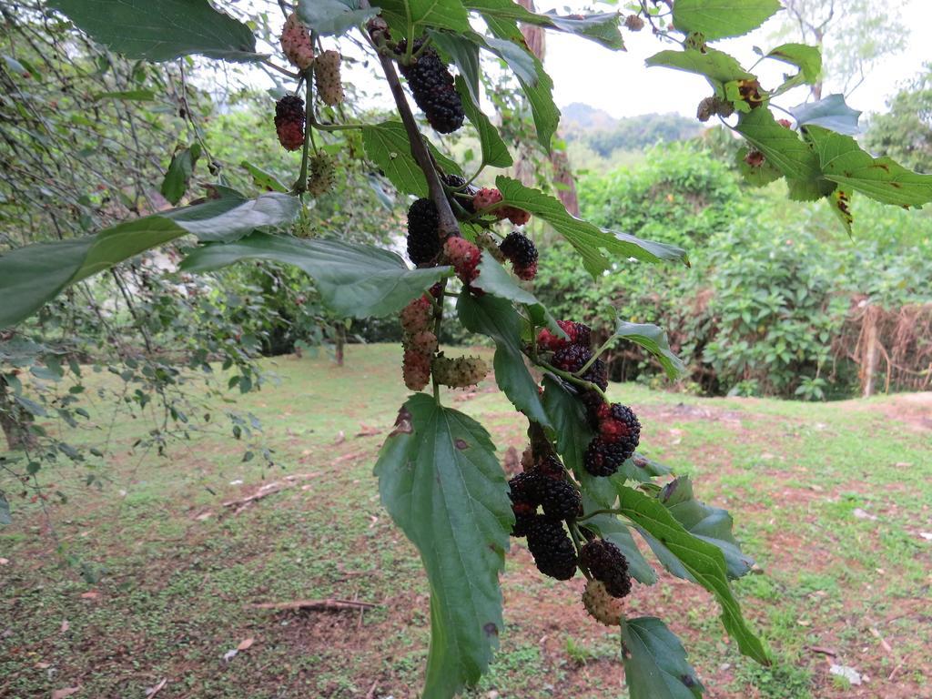 Pousada Do Russo Blumenau Eksteriør bilde